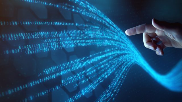 Public law litigation in the automated state