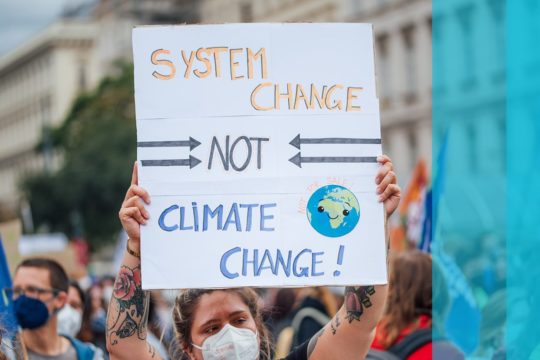 Climate change protester